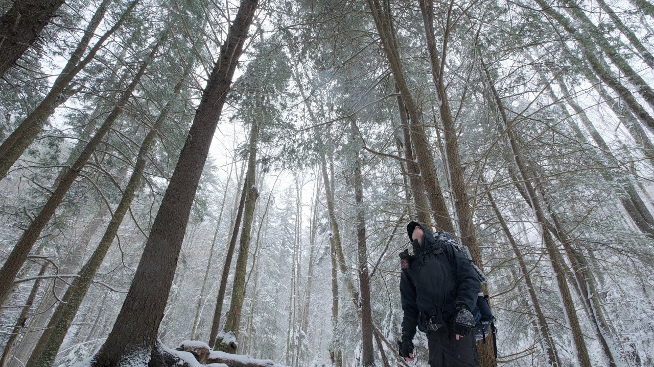 Hammock Camping in a Snow Storm: 3-Day Wilderness Adventure | ASMR