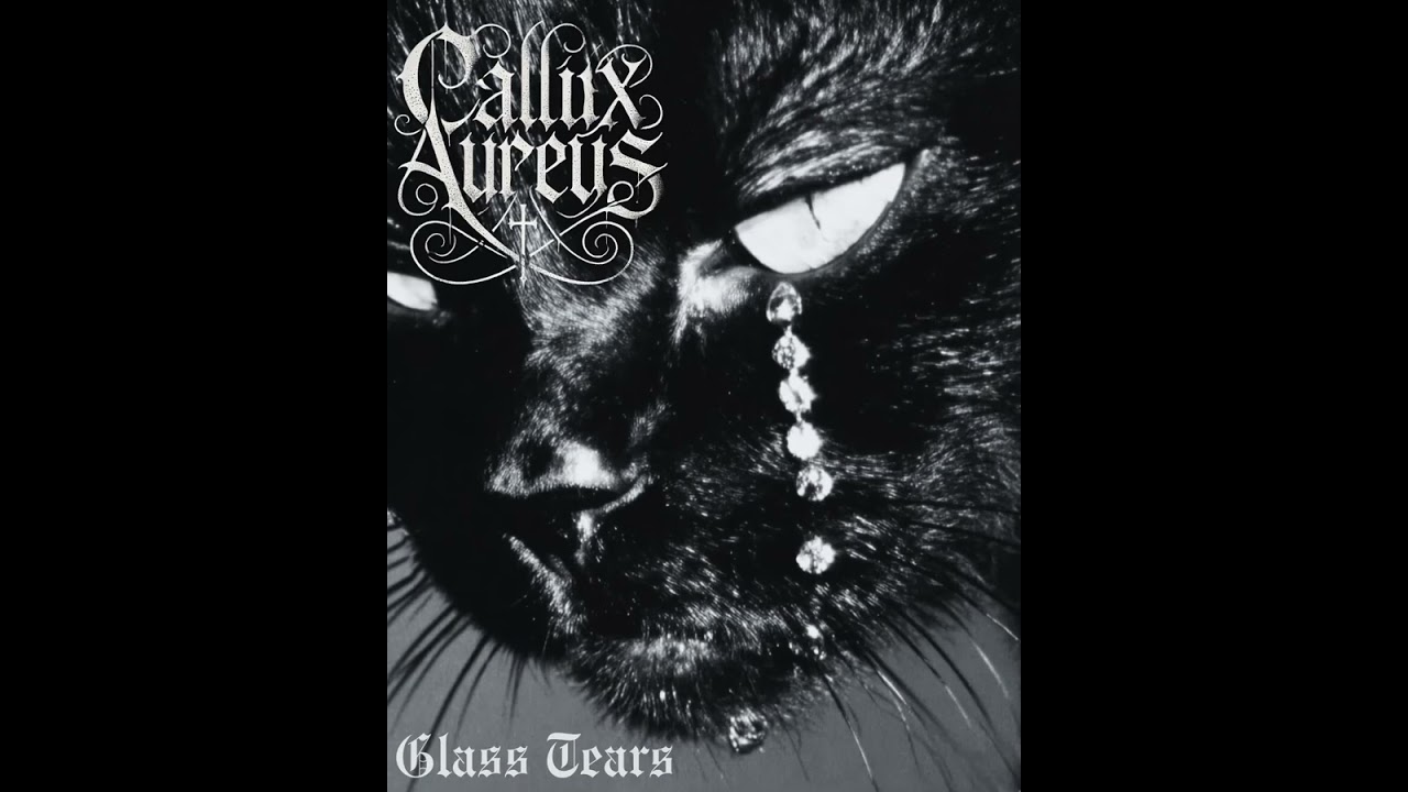 Callix Aureus - Ending of My Life (DSBM)