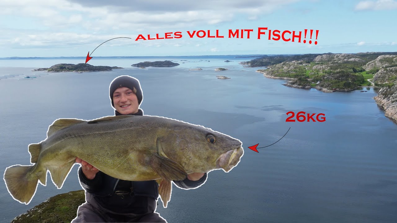 Jeder Wurf ein Treffer!!!