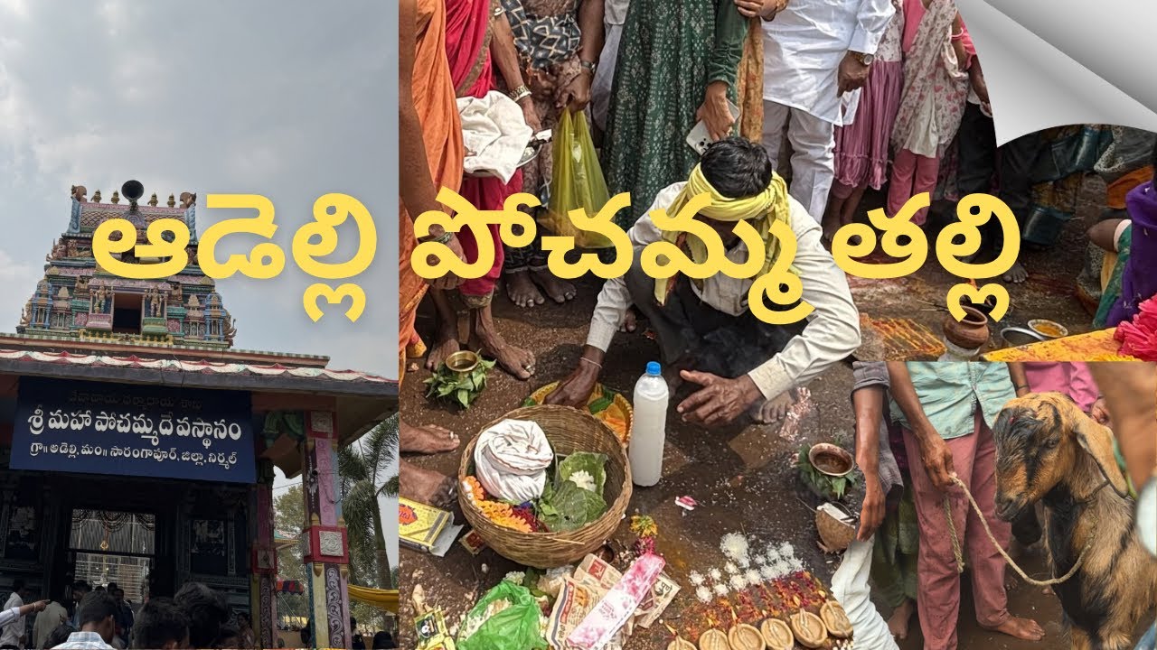 అడెల్లి పోచమ్మ అమ్మవారి దర్శనం 🙏 | Adelli Pochamma Temple Darshan l  #AdelliPochammaTemple #nirmal 