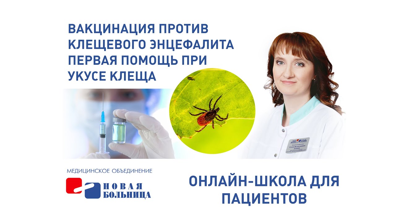 Вакцинация против клещевого энцефалита. Первая помощь при укусе клеща