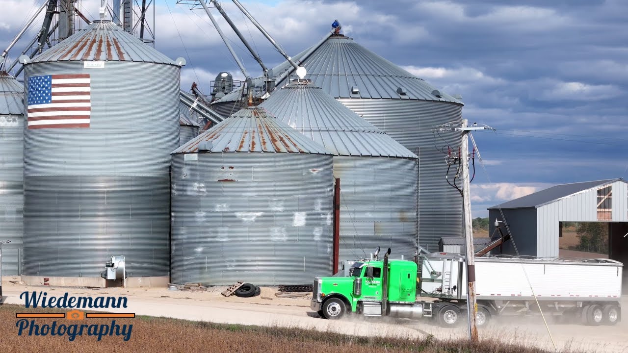 Falkers Farms Corn Harvest 2023