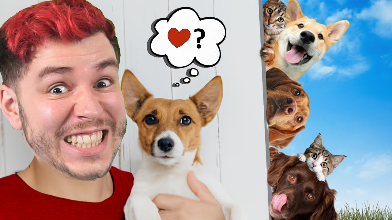 1 Klick = Schwanz wedeln 🐶