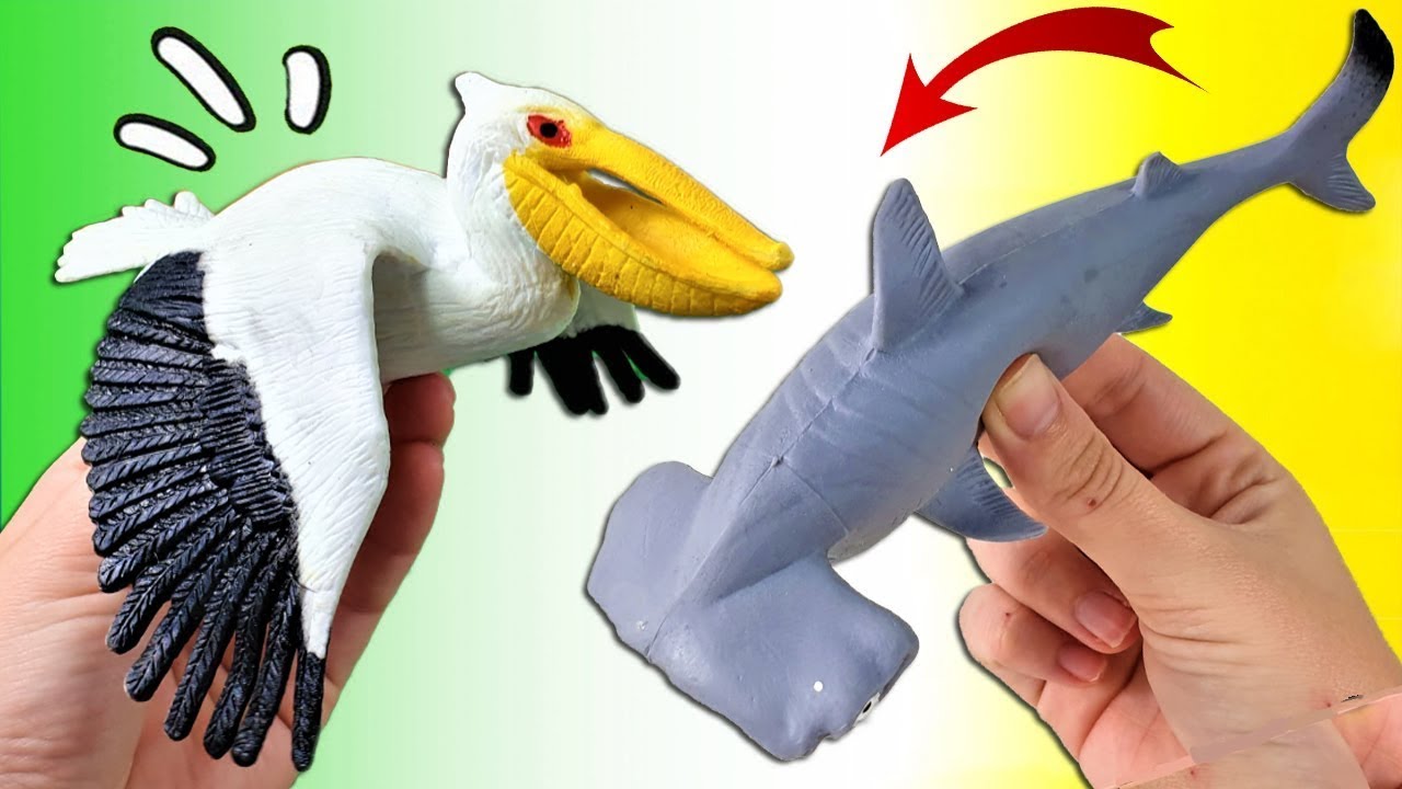 TIBURON MARTILLO, TIBURON BLANCO, PELICANO | DEPREDADORES SALVAJES | ANIMALES BLANDITOS