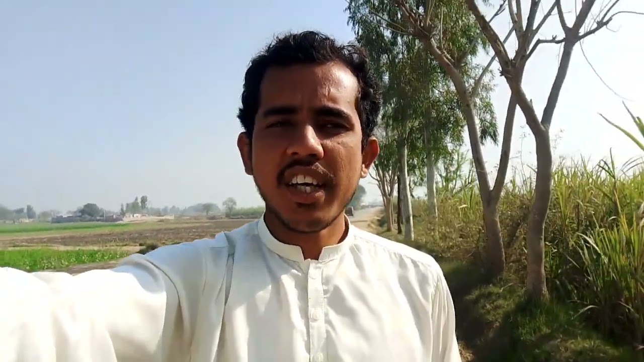 دیہات میں ہر طرف سبزہ ہی سبزہ ہوتا ہے #viral#viralvideo #minivlog #subscribe 