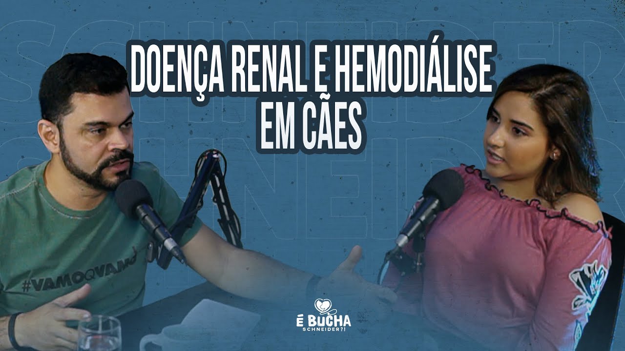 Doença Renal e Hemodiálise em cães | PODCAST - É bucha, Schneider?!