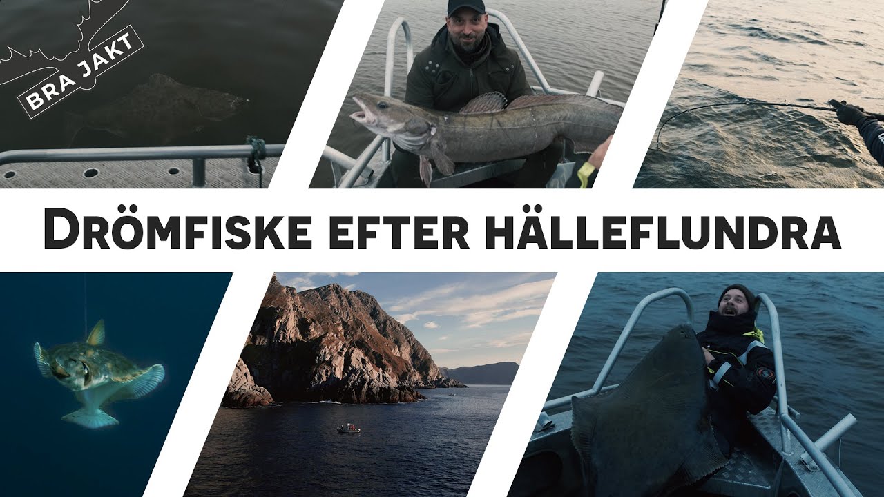 Dr&ouml;mfiske i Norge! |&nbsp;BRA JAKT