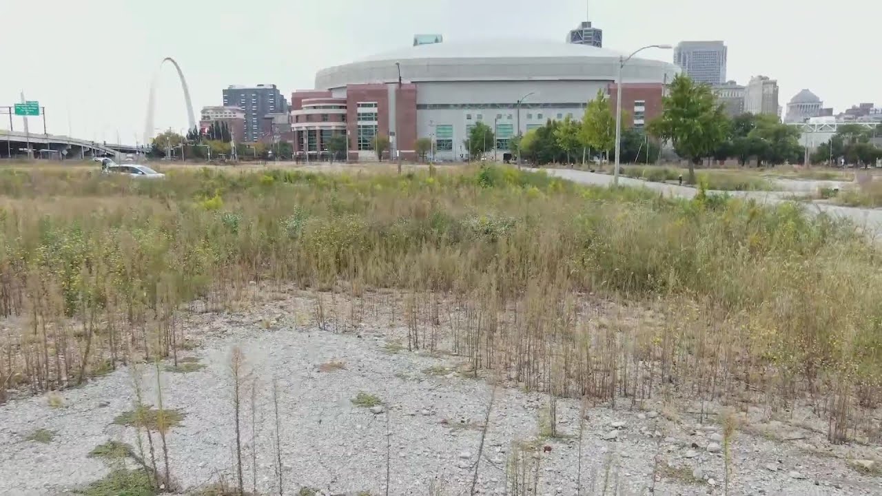 Residents disgusted by eyesore weeds, trash at Dome downtown