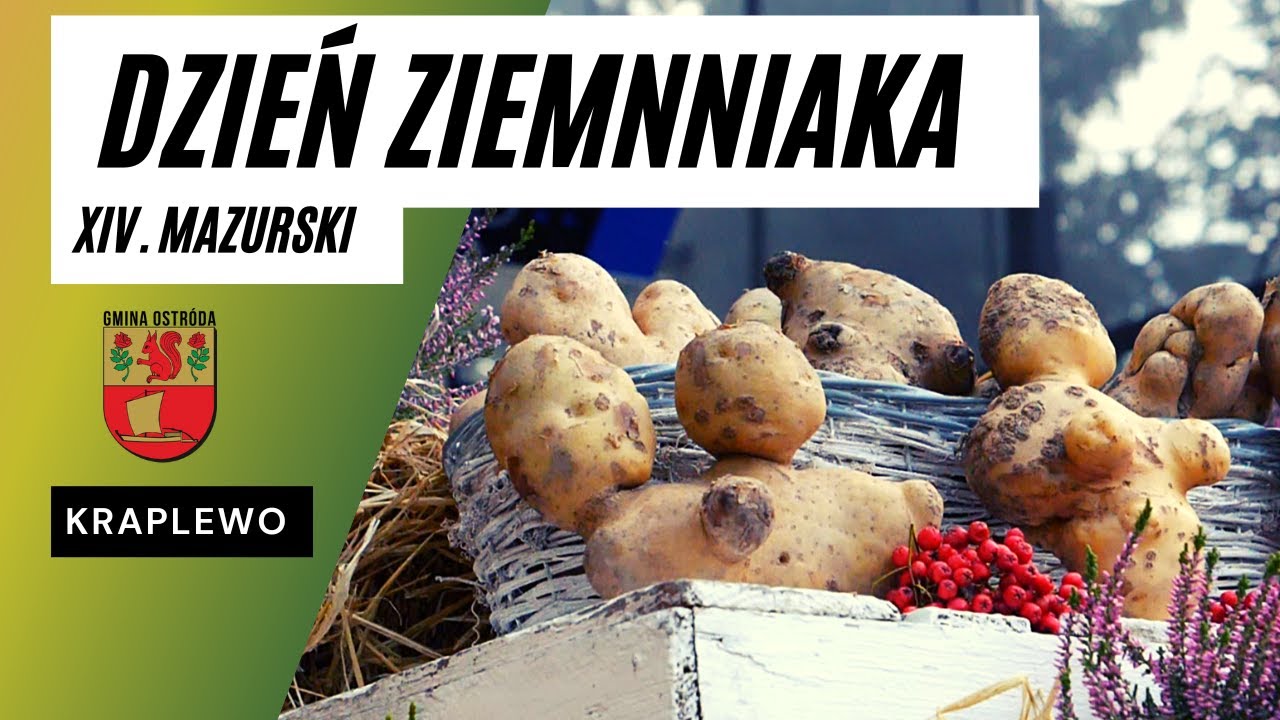 XIV. Mazurski Dzień Ziemniaka w Kraplewie.