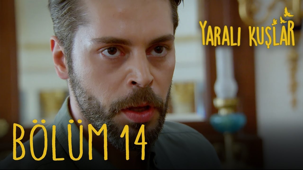 Yaralı Kuşlar 14. B&ouml;l&uuml;m