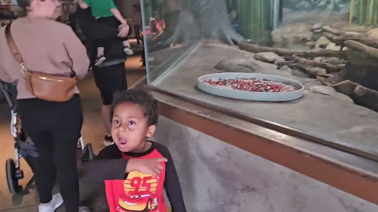 2025.11.15 Zoo Day!