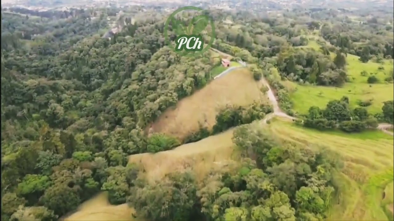 OFERTA DE FINCA EN TRES RIOS, CARTAGO.