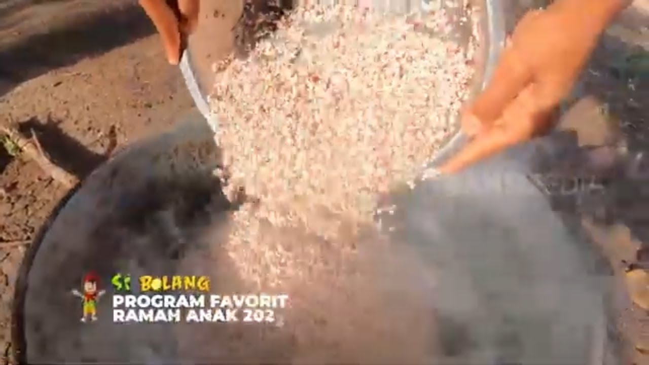 Cara Masak Nasi Sorgum | SI BOLANG (06/10/23)