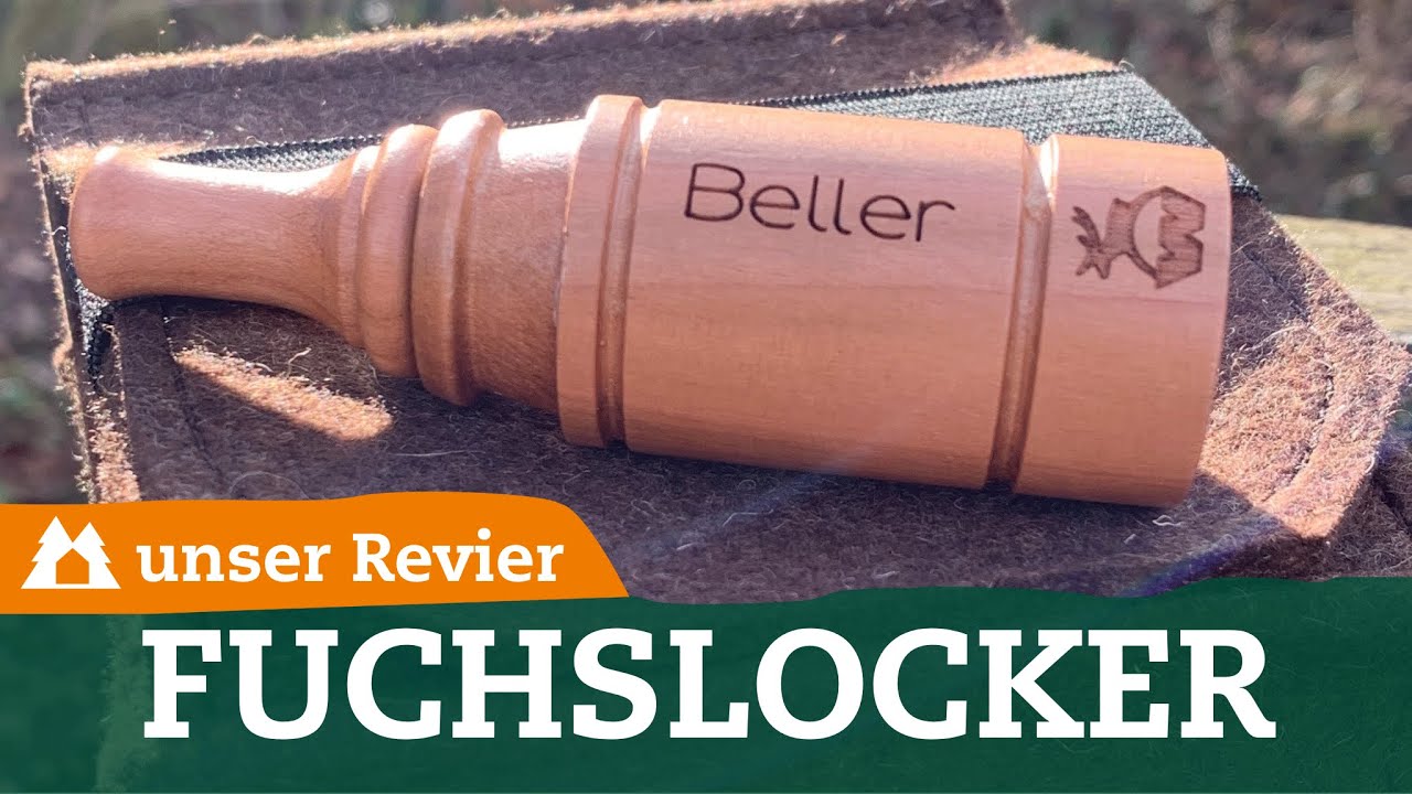 Fuchslocker I Lockjagd I Raubwildjagd I unser Revier I #20