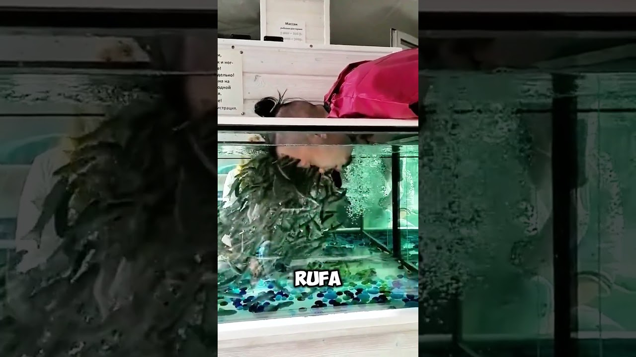 &iexcl;INCREIBLE! Peces que se Alimentan de C&eacute;lulas Muertas 🐟🌟 #shorts