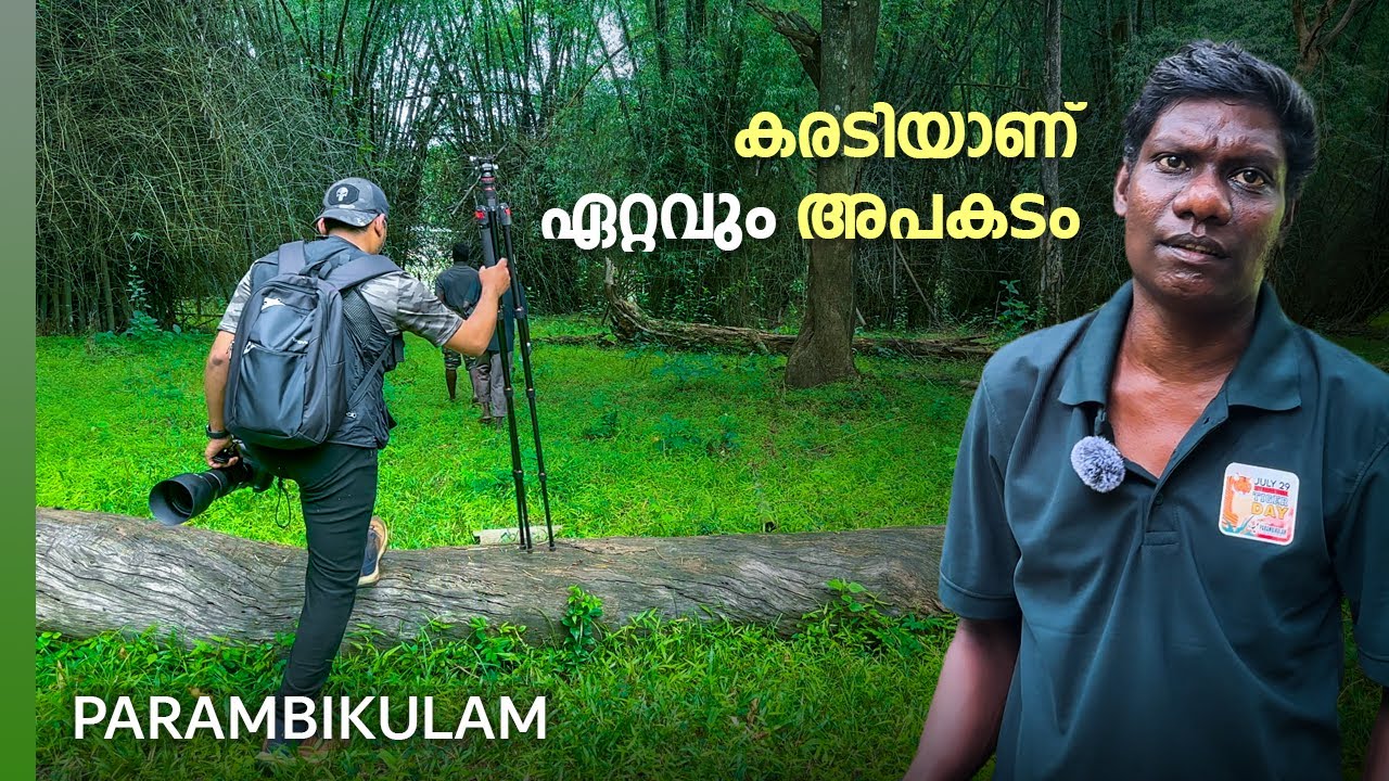 Bear Path Trekking Trail | Parambikulam Tiger Reserve | 4K UHD