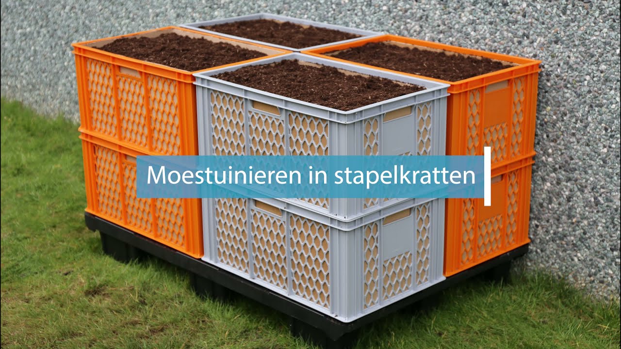 Moestuinbak &ndash; zo maakt u eenvoudig uw eigen moestuinbak!
