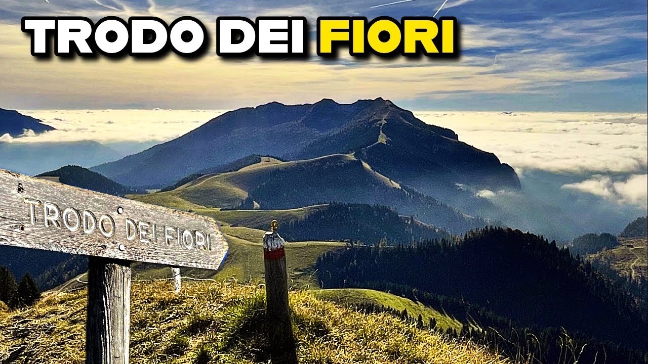 TRODO dei FIORI 🌺 Fantastico percorso dal Passo Brocon in Lagorai