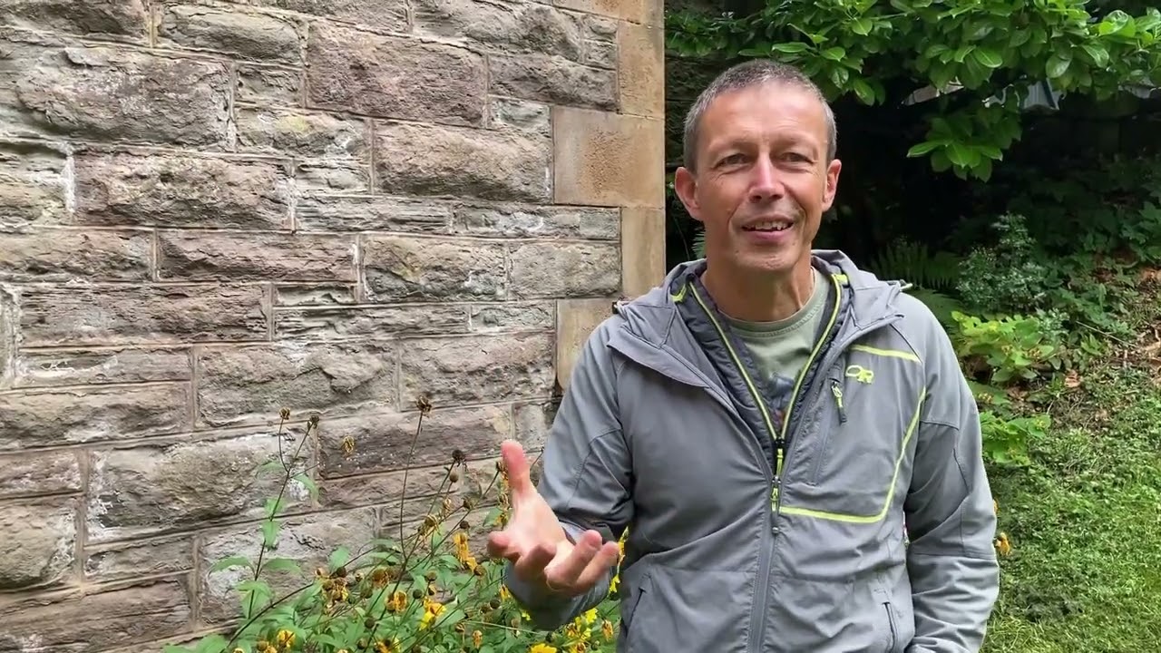 Hans Widdman: My Selah Story