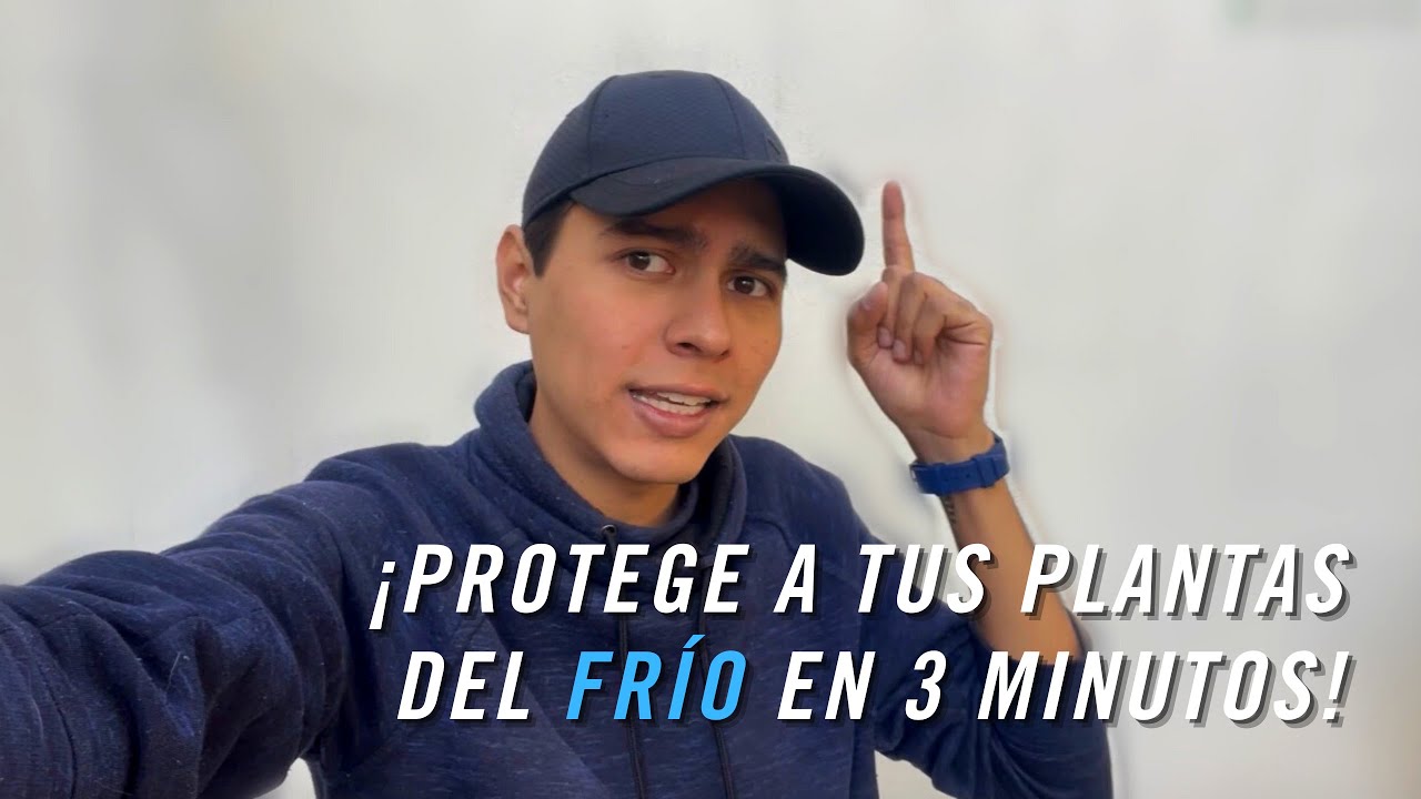 &iexcl;PROTEGE A TUS PLANTAS DEL FR&Iacute;O EN 3 MINUTOS! | TUTORIAL | ROOTZ