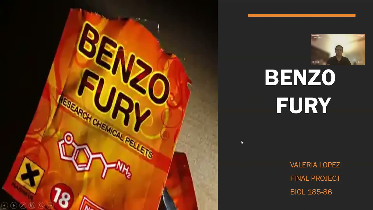 Benzo Fury - Final Project BIO 185-86