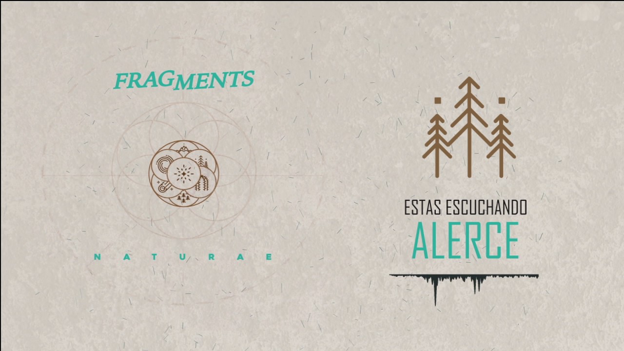 Fragments - Alerce (Streaming)