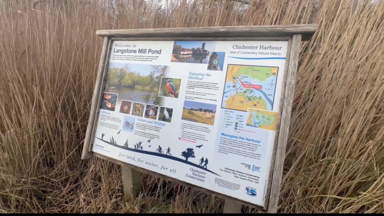 Chichester Harbour. A good walk followed by lunch! Perfecto 👍