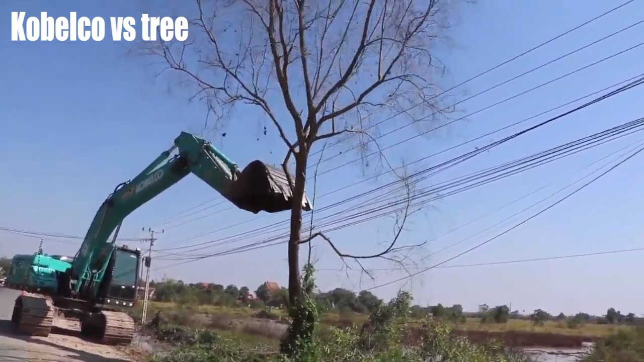 Kobelco excavator pushing tree| Roadside clearing excavator