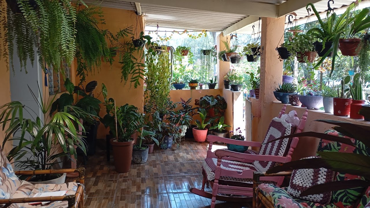 Tour pelas plantas da varanda 🥰❤️🙏(atualizado)