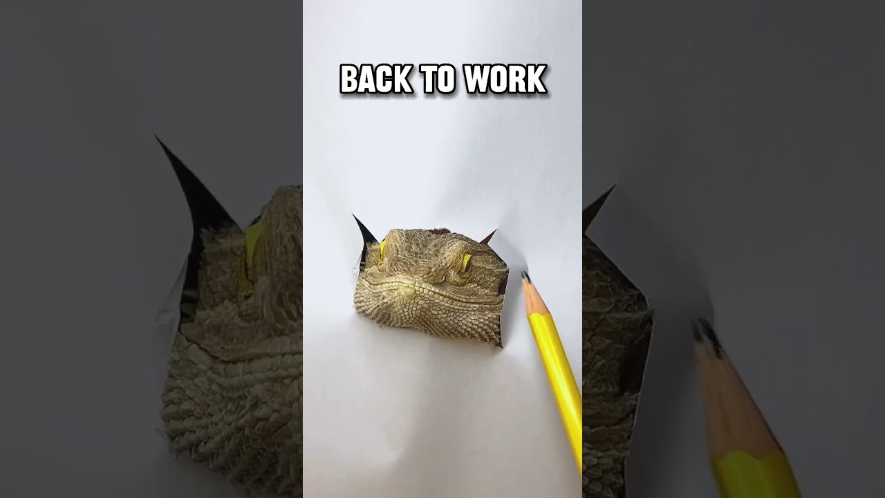 CHECK OUT MY NEW CHANNEL!! @pbstudio3 Drawing my Bearded Dragon!!! 🧔&zwj;♂️🐉( #shorts )