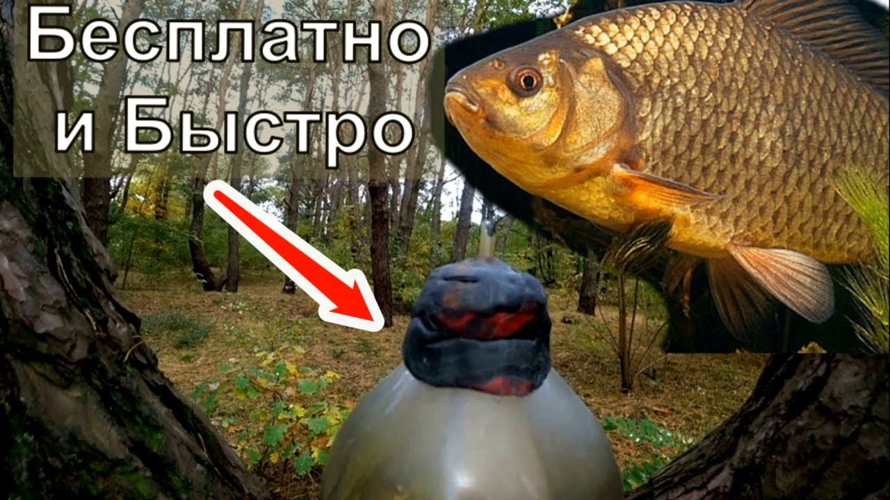 Супер предсказатель клева. Рыба теперь как на ладони. Хит.