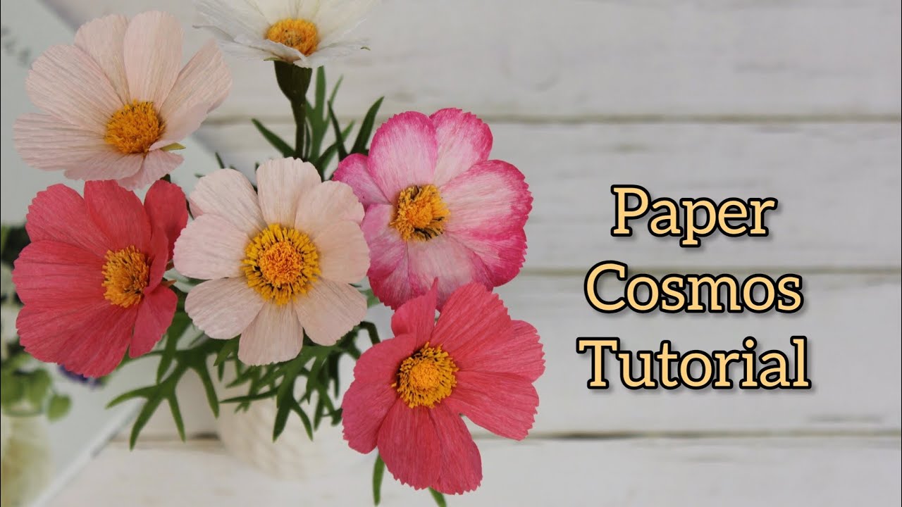 Crepe paper cosmos tutorial | How to make paper flowers | DIY flower decor