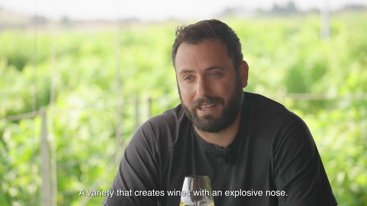 27 Podcast Malagousia