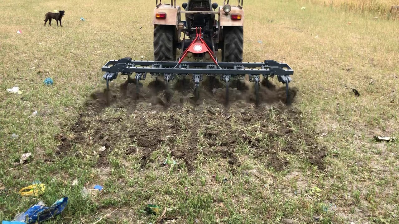 Avtar agriculture industry gehri mandi