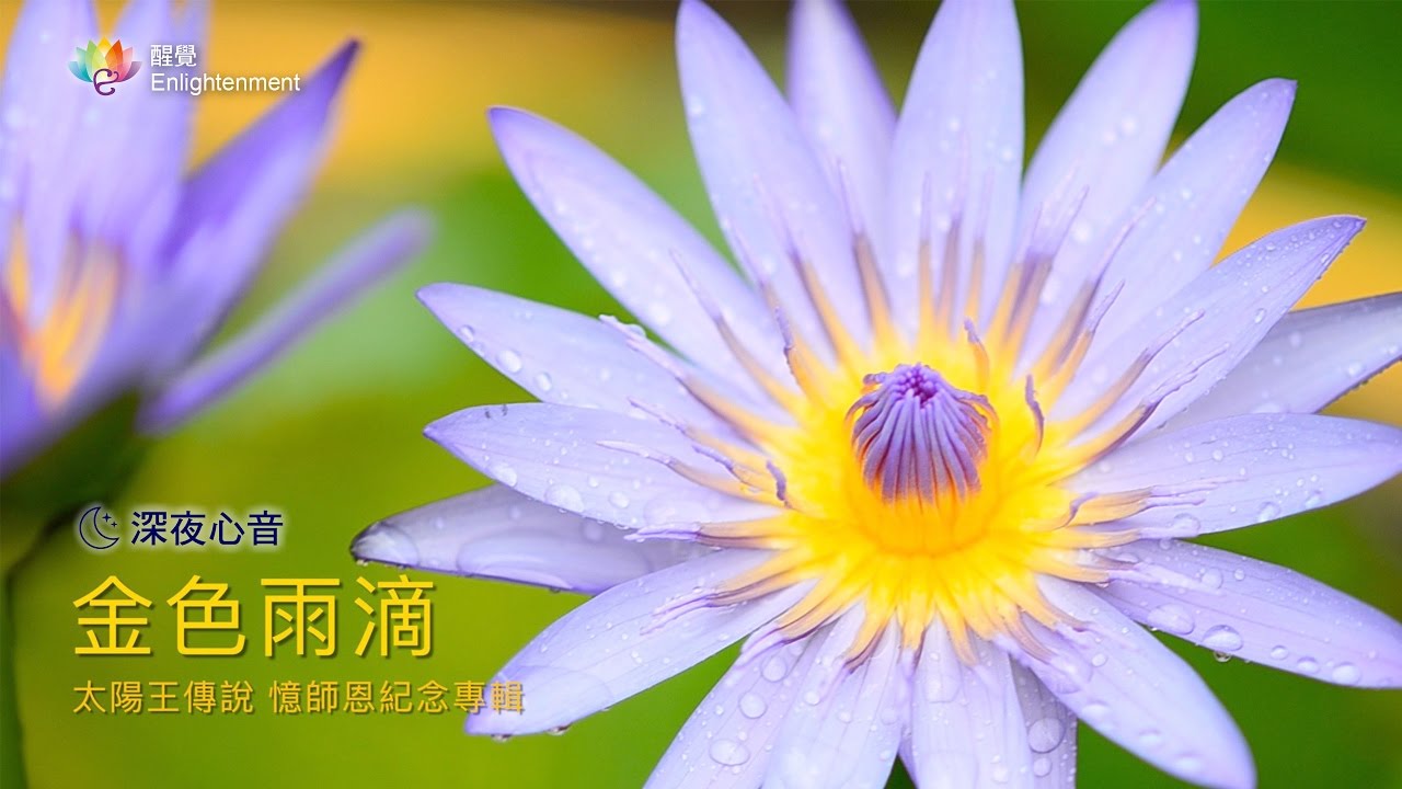 《 深夜心音 _ 金色雨滴 》