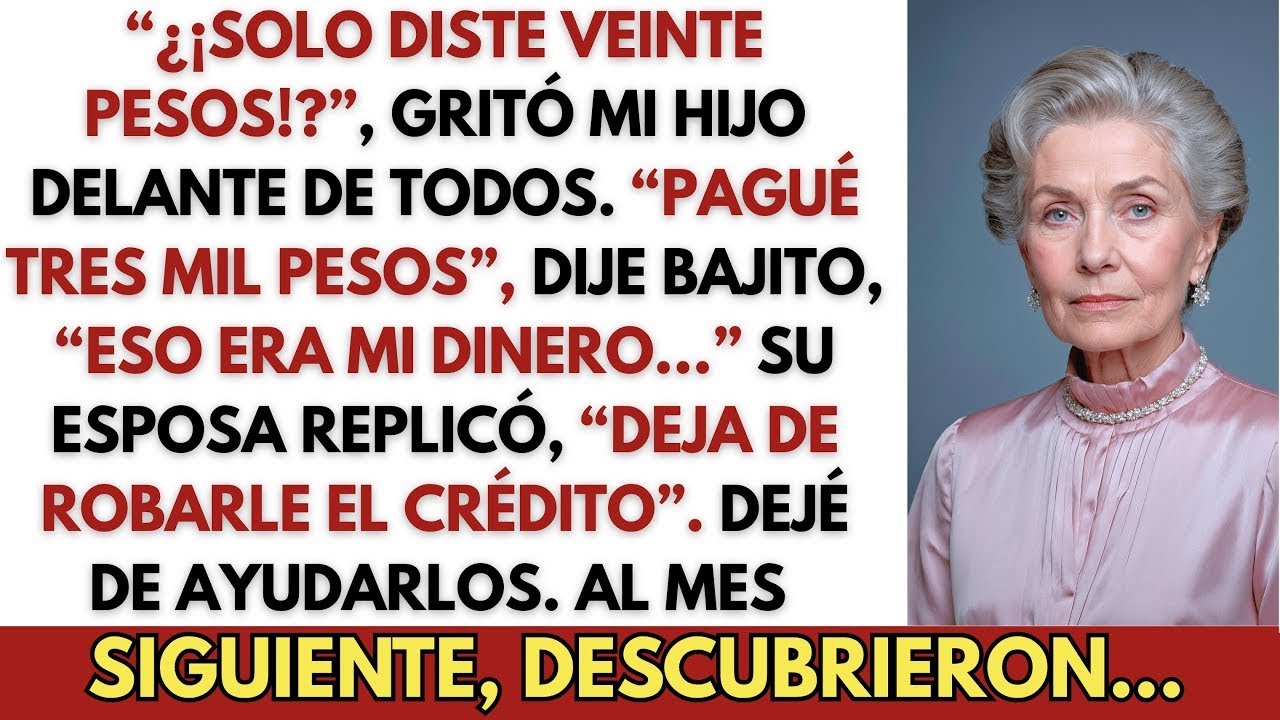 Mi hijo siempre prefirió la opinión de su esposa y me culpó, así que decidí…