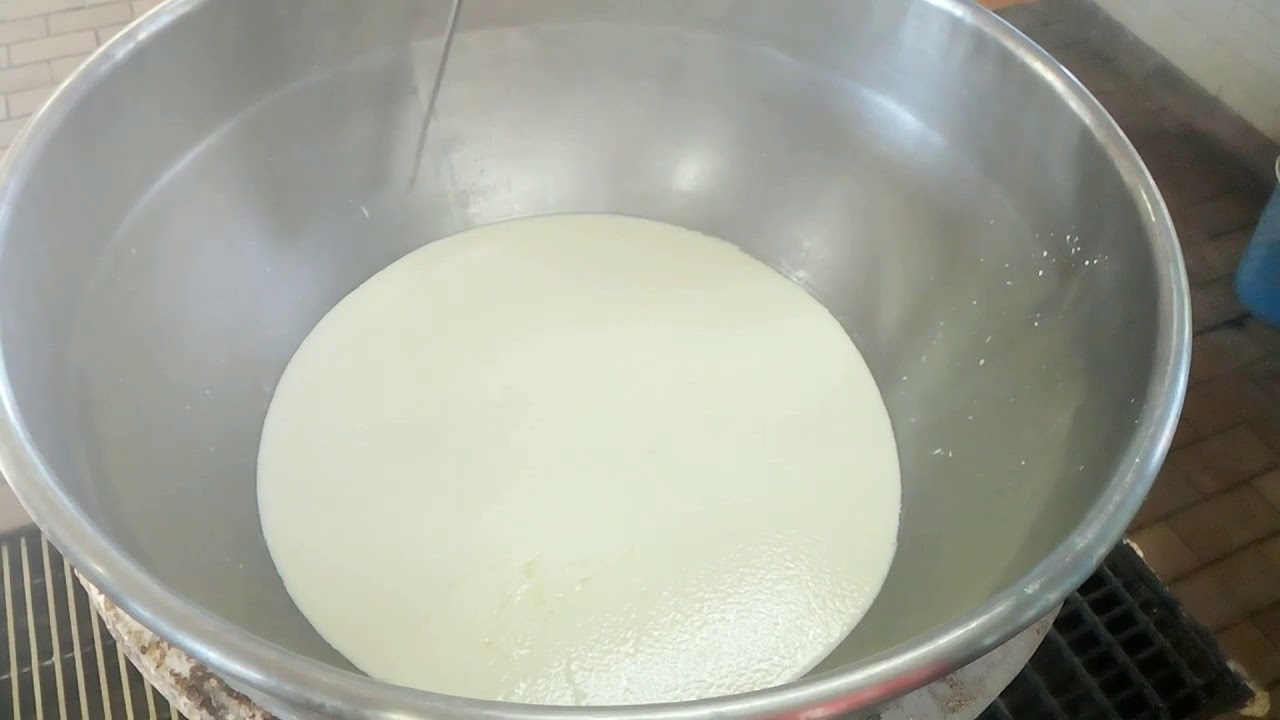 Como hacer Queso Oaxaca