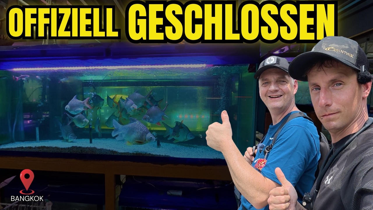 Wir waren auf Bangkoks Aquaristik-Markt, obwohl er offiziell geschlossen war