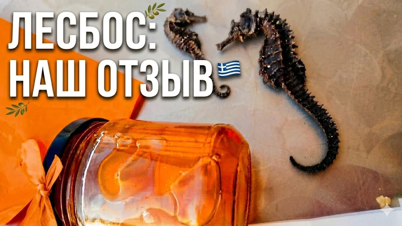 Прощай остров Лесбос Варенье с коньками Skala Kallonis Mitilini Греция (Видео№17)