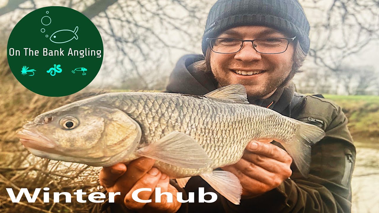 Chub Fishing On Flooded Rivers With Cheese Paste