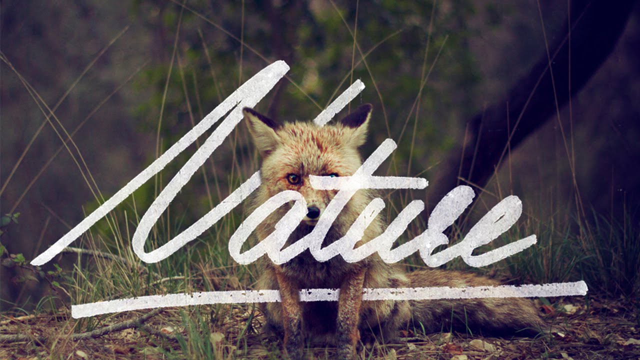 How To Vectorise Your Hand Lettering In Illustrator CC