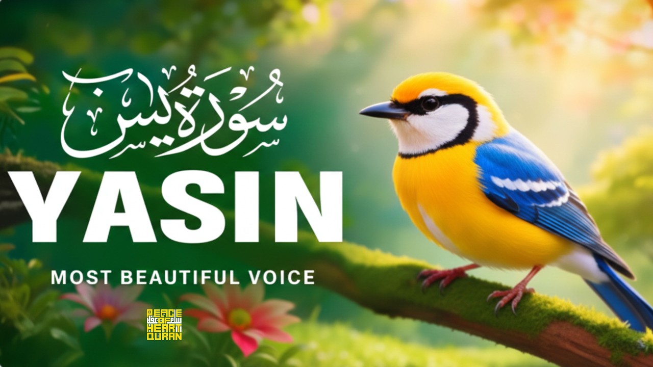 Surah Yaseen For Peace & Protection | Morning & Evening Recitation | Peace Of Heart Quran
