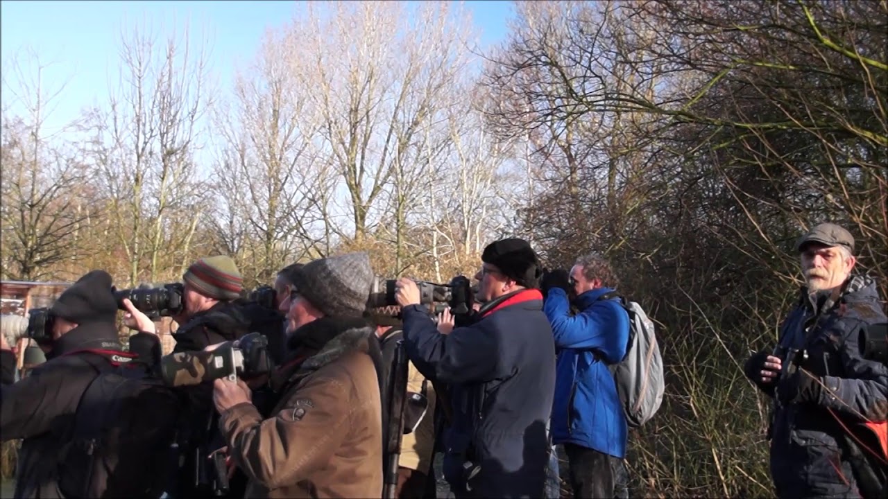 Vogelaars in Beijum 20 maart 2015