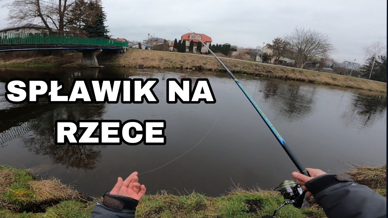 BRANIE za braniem! Zgrupowanie ryby na rzece