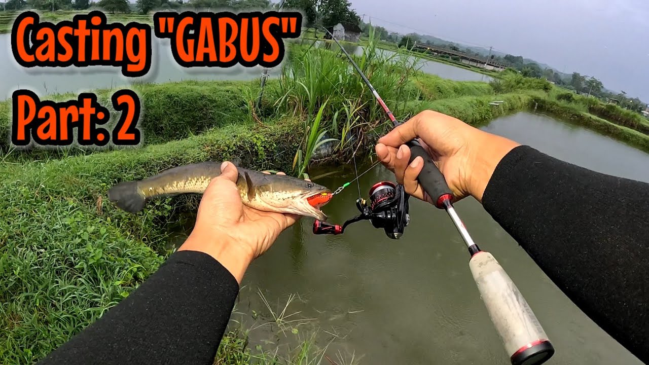 BENERAN KETAGIHAN DONG ‼️ MUMPUNG ADA KESEMPATAN KITA CASTING GABUS LAGI