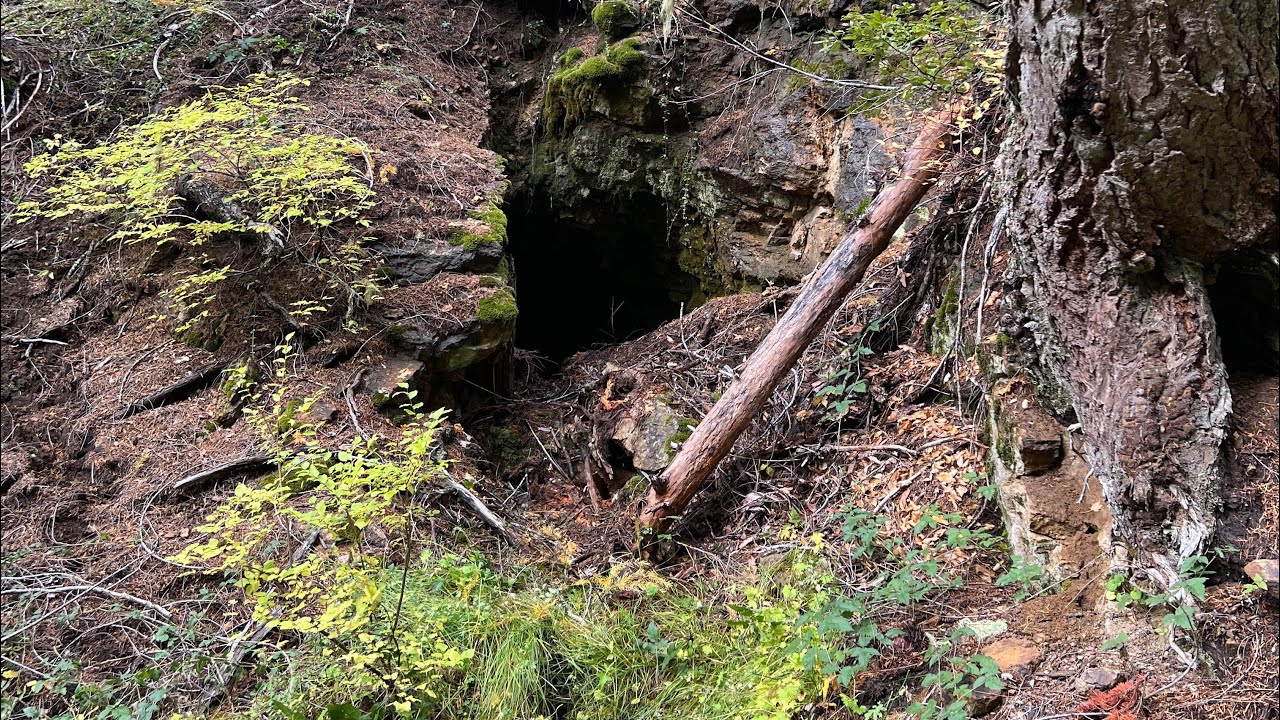 Re- Opening an Abandoned Gold Mine