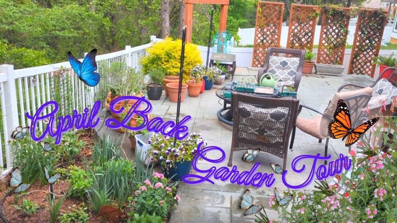 April '24 Back Garden Tour! Spring Blooms & Over 40 Plant Species! #springgarden #zone8 #northtexas