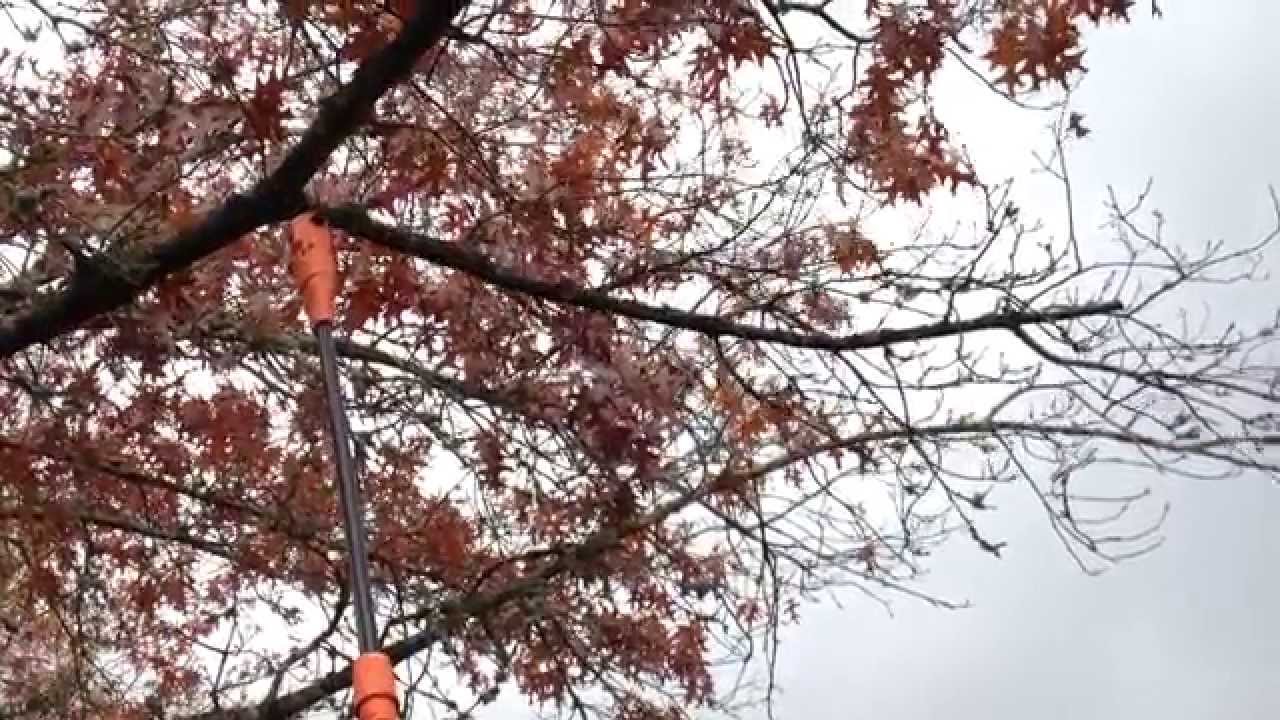Black & Decker Pole Saw