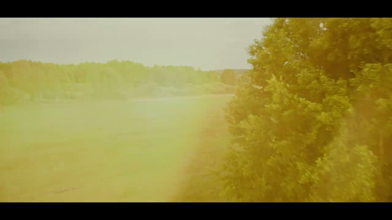 Calmwater - Summer Night (LYRICS VIDEO)