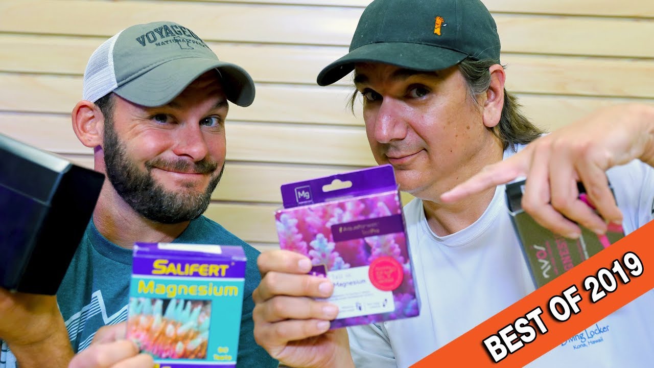 Best Magnesium Test Kit of 2019: Our new go-to reef tank Magnesium test!